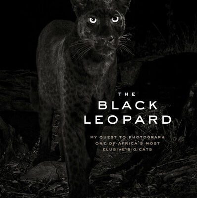 خرید و دانلود نسخه کامل کتاب The Black Leopard: My Quest to Photograph One of Africa’s Most Elusive Big Cats