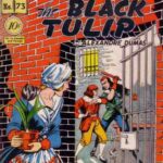 خرید و دانلود نسخه کامل کتاب The Black Tulip