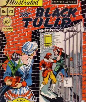 خرید و دانلود نسخه کامل کتاب The Black Tulip