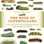 خرید و دانلود نسخه کامل کتاب The Book of Caterpillars : A Life-size Guide to Six Hundred Species From Around the World
