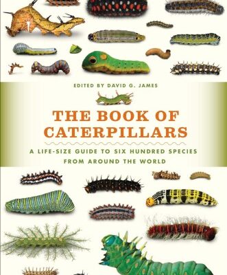 خرید و دانلود نسخه کامل کتاب The Book of Caterpillars : A Life-size Guide to Six Hundred Species From Around the World