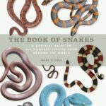 خرید و دانلود نسخه کامل کتاب The Book of Snakes: A Life-Size Guide to Six Hundred Species from around the World