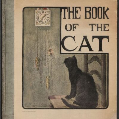 خرید و دانلود نسخه کامل کتاب The Book of the Cat