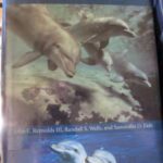 خرید و دانلود نسخه کامل کتاب The Bottlenose Dolphin: Biology and Conservation