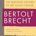 خرید و دانلود نسخه کامل کتاب The Business Affairs of Mr Julius Caesar