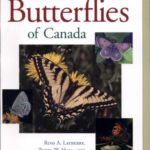 خرید و دانلود نسخه کامل کتاب The butterflies of Canada