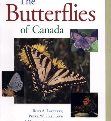 خرید و دانلود نسخه کامل کتاب The butterflies of Canada