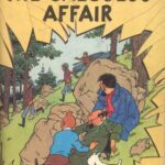 خرید و دانلود نسخه کامل کتاب The Calculus Affair (The Adventures of Tintin 18)