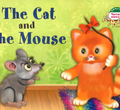 خرید و دانلود نسخه کامل کتاب The Cat and the Mouse