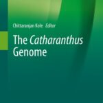 خرید و دانلود نسخه کامل کتاب The Catharanthus Genome