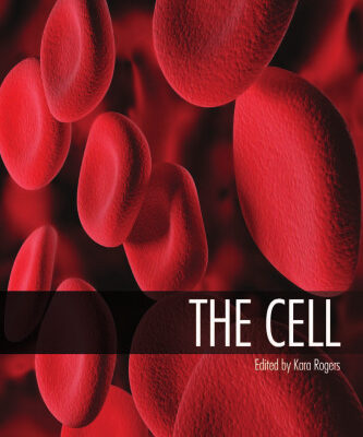 خرید و دانلود نسخه کامل کتاب The Cell