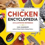خرید و دانلود نسخه کامل کتاب The Chicken Encyclopedia An Illustrated Reference