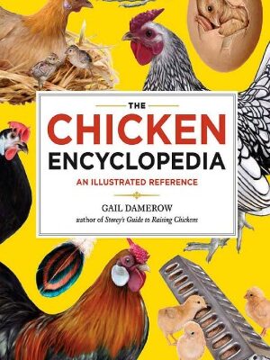 خرید و دانلود نسخه کامل کتاب The Chicken Encyclopedia An Illustrated Reference