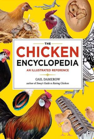 خرید و دانلود نسخه کامل کتاب The Chicken Encyclopedia An Illustrated Reference_68e9eafb0585b.jpeg خرید و دانلود نسخه کامل کتاب The Chicken Encyclopedia An Illustrated Reference