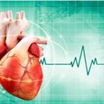 خرید و دانلود نسخه کامل کتاب The Cholesterol Conspiracy