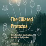 خرید و دانلود نسخه کامل کتاب The Ciliated Protozoa: Characterization, Classification, and Guide to the Literature