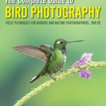 خرید و دانلود نسخه کامل کتاب The Complete Guide to Bird Photography: Field Techniques for Birders and Nature Photographers