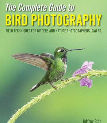 خرید و دانلود نسخه کامل کتاب The Complete Guide to Bird Photography: Field Techniques for Birders and Nature Photographers