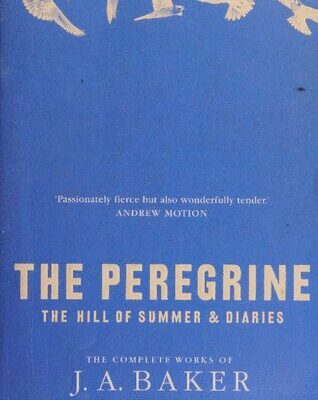 خرید و دانلود نسخه کامل کتاب The Complete Works: The Peregrine, The Hill of Summer & Diaries