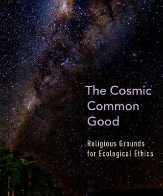 خرید و دانلود نسخه کامل کتاب The Cosmic Common Good: Religious Grounds for Ecological Ethics