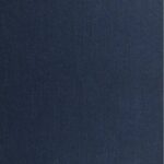 خرید و دانلود نسخه کامل کتاب The Crazy Fabric: Essays in Irony