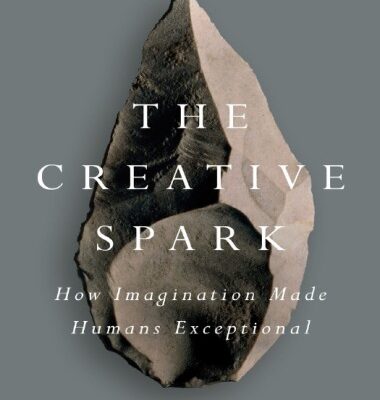 خرید و دانلود نسخه کامل کتاب The Creative Spark: How Imagination Made Humans Exceptional