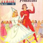خرید و دانلود نسخه کامل کتاب The Dancing Princesses