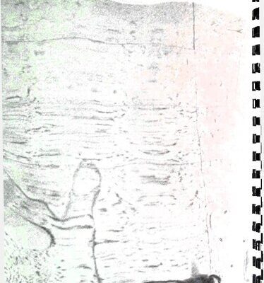 خرید و دانلود نسخه کامل کتاب The David Foster Wallace Reader: Uncollected Works /’Samizdat Collection’