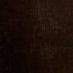 خرید و دانلود نسخه کامل کتاب The dog book. A popular history of the dog, with practical information as to care and management of house, kennel, and exhibition dogs; and descriptions of all the important breeds (Volume 2).