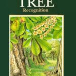 خرید و دانلود نسخه کامل کتاب The Easy Way to Tree Recognition