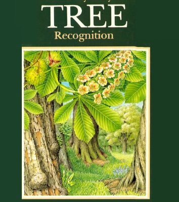 خرید و دانلود نسخه کامل کتاب The Easy Way to Tree Recognition