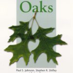 خرید و دانلود نسخه کامل کتاب The Ecology and Silviculture of Oaks