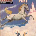 خرید و دانلود نسخه کامل کتاب The Enchanted Pony
