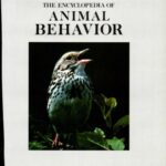 خرید و دانلود نسخه کامل کتاب The Encyclopedia of Animal Behavior (Encyclopedia of Animal Series)