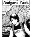 خرید و دانلود نسخه کامل کتاب The Enigma of Amigara Fault