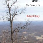 خرید و دانلود نسخه کامل کتاب The Environmental Mafia: The Enemy Is Us