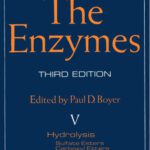 خرید و دانلود نسخه کامل کتاب The Enzymes, Vol V: Hydrolysis (Sulfate Esters, Carboxyl Esters, Glycosides), Hydration, 3rd Edition