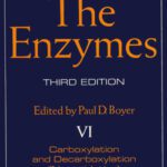 خرید و دانلود نسخه کامل کتاب The Enzymes, Vol VI: Carboxylation and Decarboxylation, (Nonoxidative) Isomerization, 3rd Edition