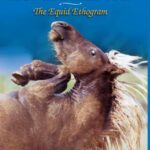 خرید و دانلود نسخه کامل کتاب The Equid Ethogram: A Practical Field Guide to Horse Behavior