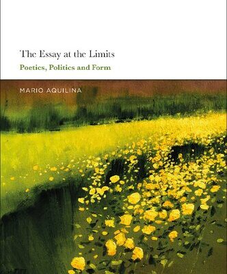 خرید و دانلود نسخه کامل کتاب The Essay at the Limits: Poetics, Politics and Form