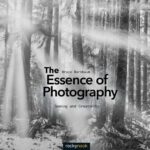 خرید و دانلود نسخه کامل کتاب The Essence Of Photography: Seeing And Creativity