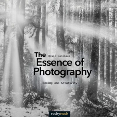 خرید و دانلود نسخه کامل کتاب The Essence Of Photography: Seeing And Creativity