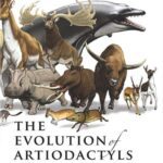 خرید و دانلود نسخه کامل کتاب The Evolution of Artiodactyls