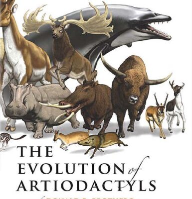 خرید و دانلود نسخه کامل کتاب The Evolution of Artiodactyls