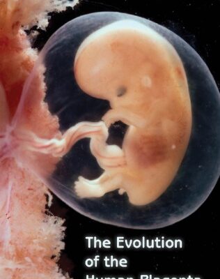 خرید و دانلود نسخه کامل کتاب The Evolution of the Human Placenta