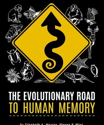 خرید و دانلود نسخه کامل کتاب The evolutionary road to human memory