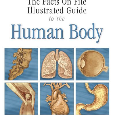 خرید و دانلود نسخه کامل کتاب The Facts On File Illustrated Guide To The Human Body: Cells and Genetics