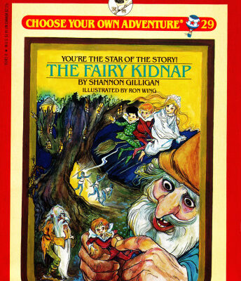 خرید و دانلود نسخه کامل کتاب The Fairy Kidnap