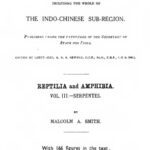 خرید و دانلود نسخه کامل کتاب The Fauna of British India Including Ceylon and Burma – Reptilia and Amphibia Volume 3 – Serpentes