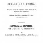 خرید و دانلود نسخه کامل کتاب The Fauna of British India Including Ceylon and Burma – Reptilia and Amphibia Volume 1 – Loricata, Testudines
